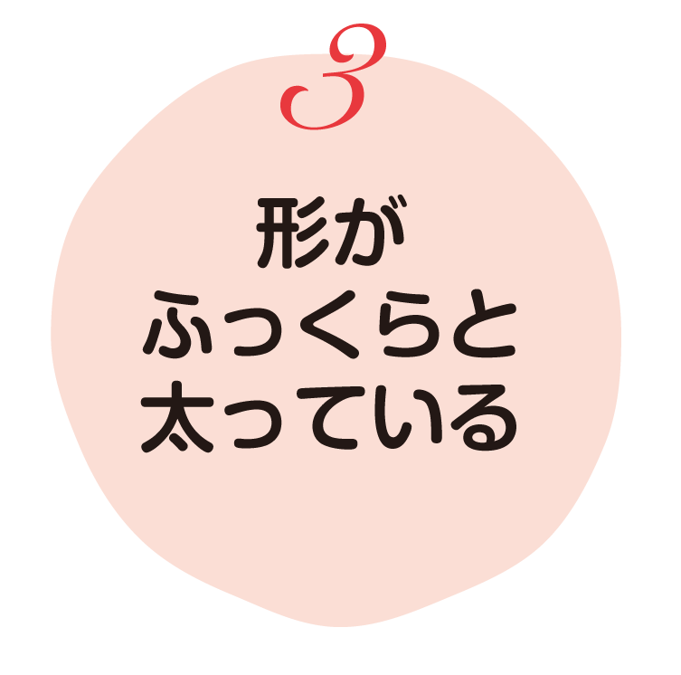 形がふっくらと太っている